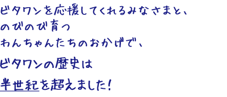 ビタワンを応援してくれるみなさまと、のびのび育つわんちゃんたちのおかげで、ビタワンの歴史はなんと半世紀を超えました！